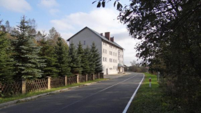 Отель Hotel Korona, Орлицке Загоржи